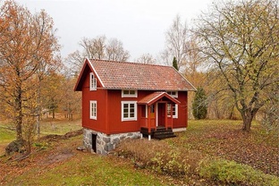 Шведские дома