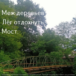 Май 2024, хайку - верлибры 2