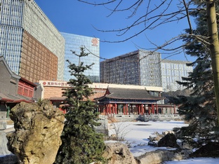 Полная прогулка.Москва2025: Марьина роща, Останкинская башня, ВДНХ и парк Хуамин