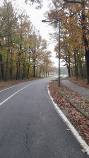 Прогулка в осеннем парке