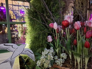 ФЕСТИВАЛЬ "КРЫМСКАЯ ВЕСНА" 11 ЛЕТ В РОДНОЙ ГАВАНИ🌺🌷✨️ 2025 ГОД МОСКВА