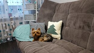 Новогодний беспредел 2