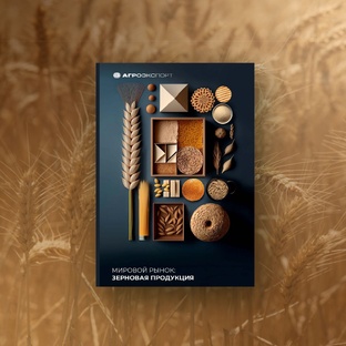 Аналитика экспорта продукции АПК