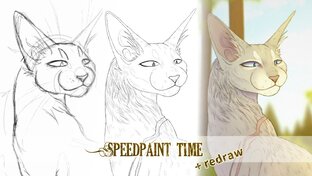 SPEEDPAINT TIME! 
