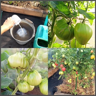 Полезные  статьи про огород и сад.