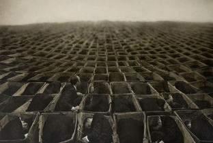 Саморазвитие