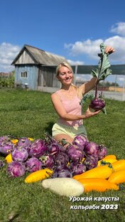 Семена, рассада