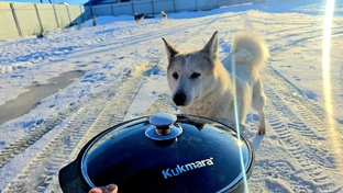 Всё для кухни и дома
