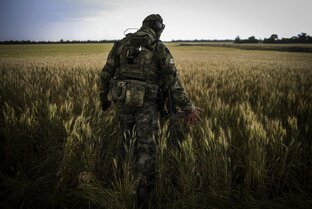 Линия: наши и не наши.