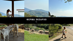 ЧТО ПОСМОТРЕТЬ В СОЧИ? Ферма Экзархо. 