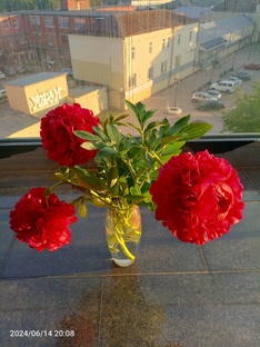 Россыпь разных историй