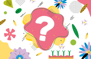 Ответы на частые вопросы