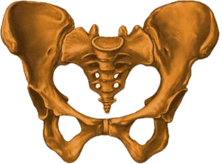 Упражнения 