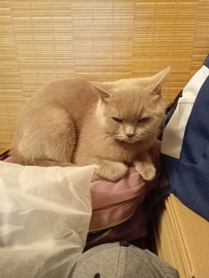 Постики♥️😻♥️