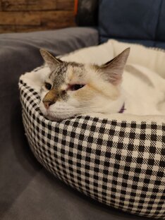 Нашли дом 🏠 