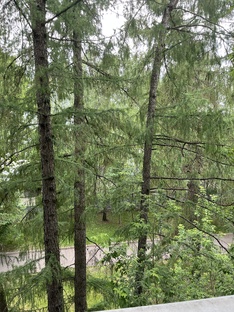 Юридически настроенное