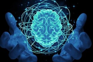 Развитие, понимание и интересные факты