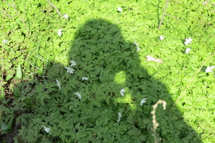 Мои заметки