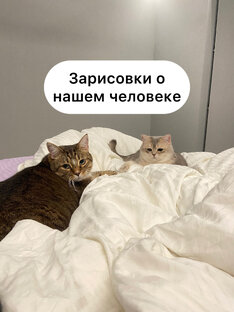 Рассказы