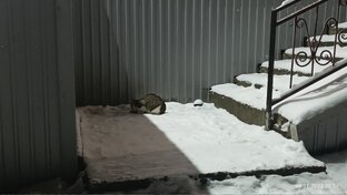 Как можно нам помочь? 