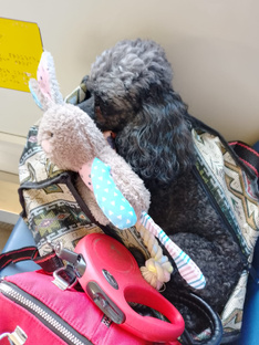 У нас был гость.