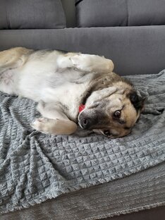 Истории тех, кто обрел дом