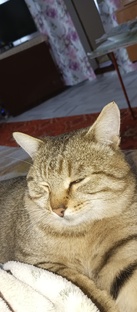 юмор