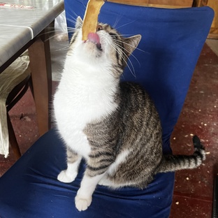 Меню на каждый день