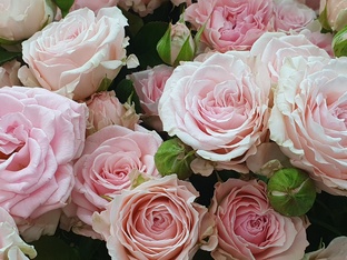 Челлендж: как пользоваться инструментом?