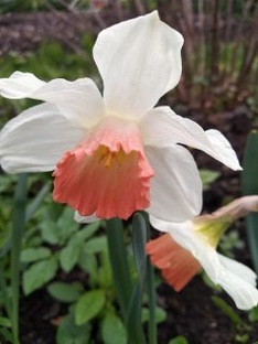 Естественные науки под новым взглядом