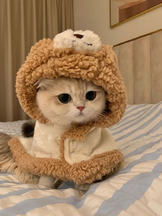 ~ 🎧🎀Эстетика🎀🎧~