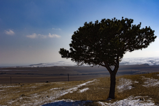 Маленькое путешествие