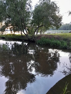 Михаил Светланин. 8 видео-стихов на Дзене. 