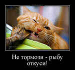 Что не съем, то покусаю