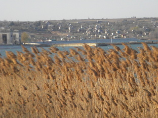 Рассказ по картинке