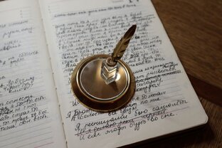 Дневник писателя