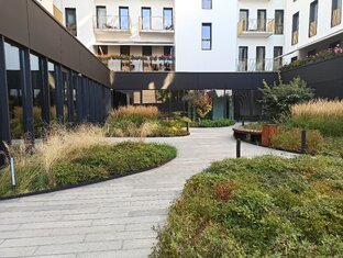 Благоустройство территории 