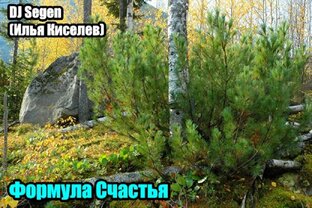 DJ Segen(Илья Киселев) Формула Счастья(2016)