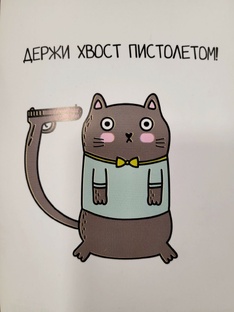Мифы о работе уголовного адвоката и не только