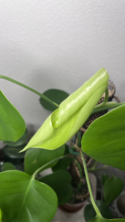 СОСТАВЫ ГРУНТОВ