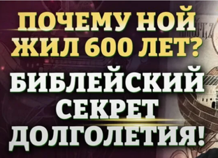 Снадобье ДОЛГОЖИТЕЛЯ НОЯ для суставов и души
