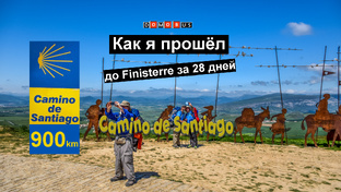 🔻Camino de Santiago
