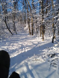 Зимняя красота