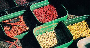 Наживки, приманки, прикормка