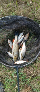 Фидерная ловля