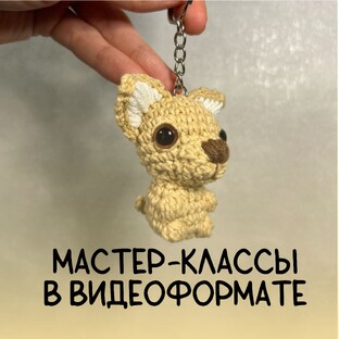 МК в видеоформате