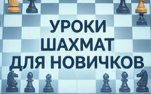 Шахматы для новичков