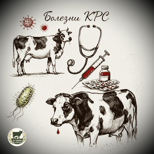 Здоровье буренки: от диагноза до лечения