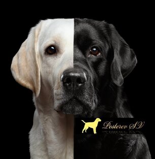 Луна и лето "24