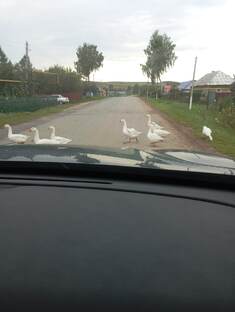 Путешествия